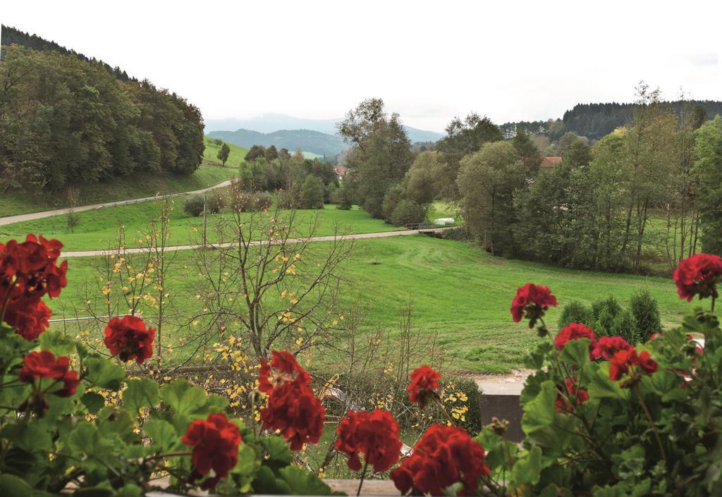 Landgasthof Adler Pelzmuehle Biederbach Baden-Württemberg Quarto foto